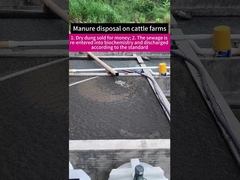 Screw Auger Conveyor