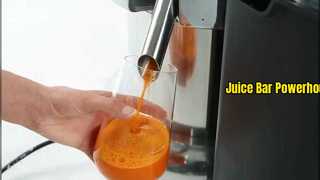 Customized Commercial Juicer with Pulp Retention Fruit and Vegetable Juicer Stainless Steel Industri