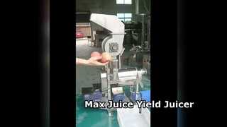 Commercial Juicer High Yield Juice Extractor