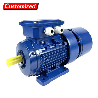 Good price Energy Efficiency Champion Adjustable Speed Gear Reducer Motor 0.55-315kW Industrial-Grade IE3 and IE2 Motors online