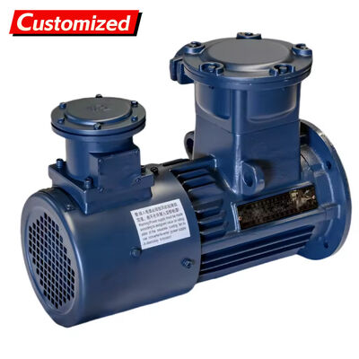 Good price Flameproof 5.5~11kW 750rpm Three-Phase Asynchronous Motor with Variable Frequency Drive for Industrial Applications online