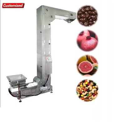 Good price Customized Stainless Steel Automatic Palm Fruit Conveyor for Packing Line Scraper Conveyor online