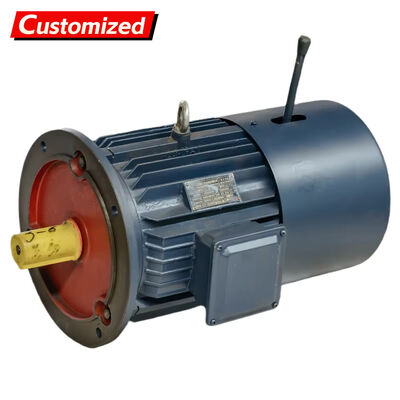 Good price Explosion-Proof Variable Frequency Drive Motor with Braking Function and IP55 Protection for Industrial Applications online