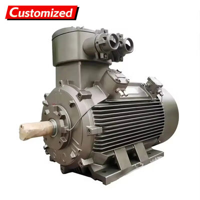 Good price Custom-Made Explosion-Proof Three-Phase Asynchronous Motor with 50Hz Frequency and 22KW Power for Industrial Applications online